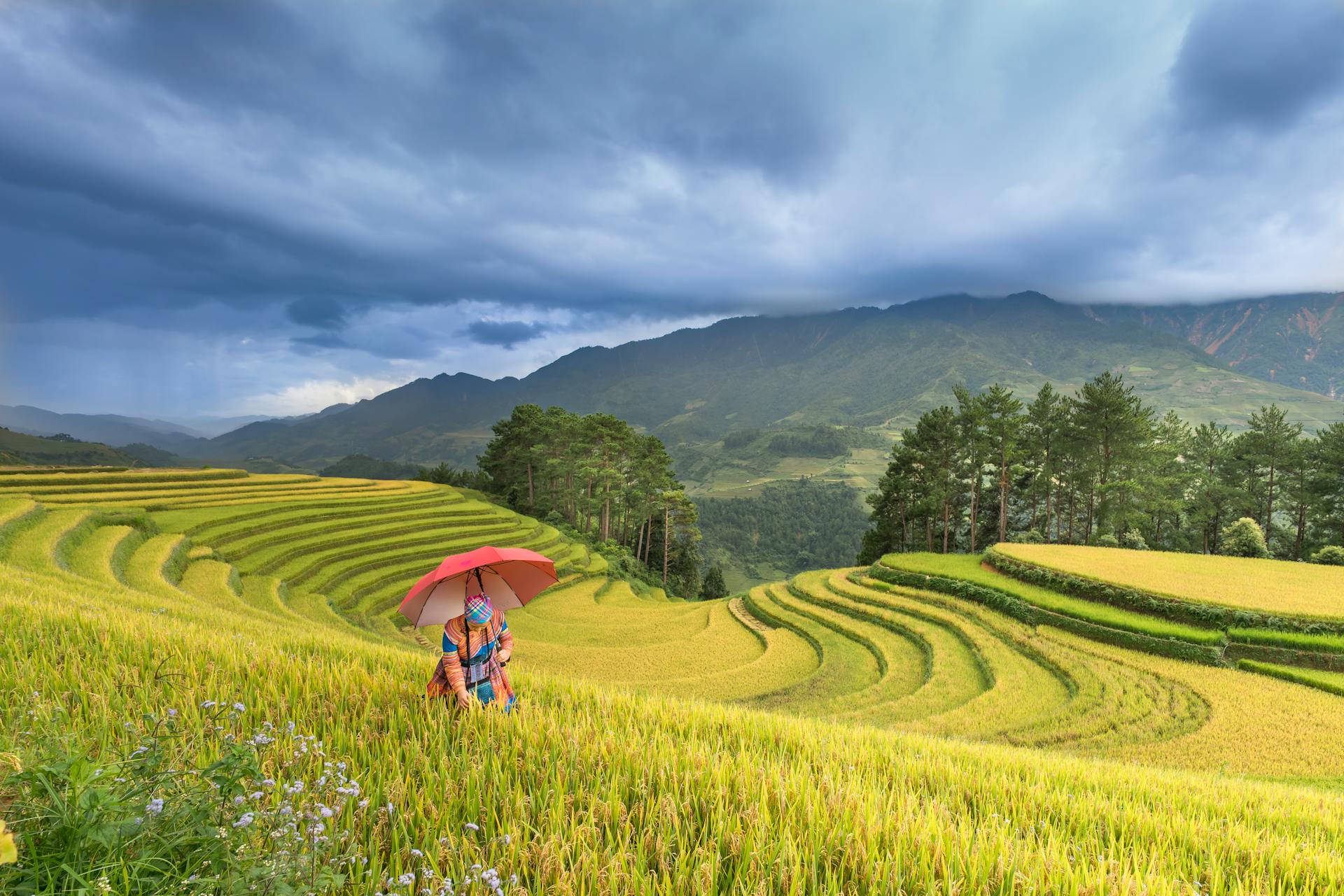 Capture the majestic beauty of Sapa’s landmarks